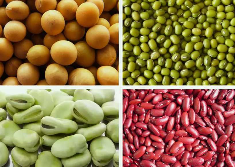 豆制品加工廢水處理工藝流程|設備 豆制品加工廢水處理工藝流程|設備