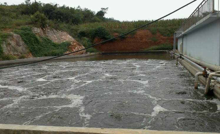 養殖場廢水處理工藝有哪些？（養殖污水便宜處理方法）