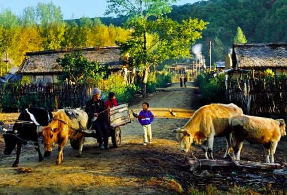 貴州省農村生活污水處理設施水污染物排放標準(附主要指標) 貴州省農村生活污水處理設施水污染物排放標準(附主要指標)
